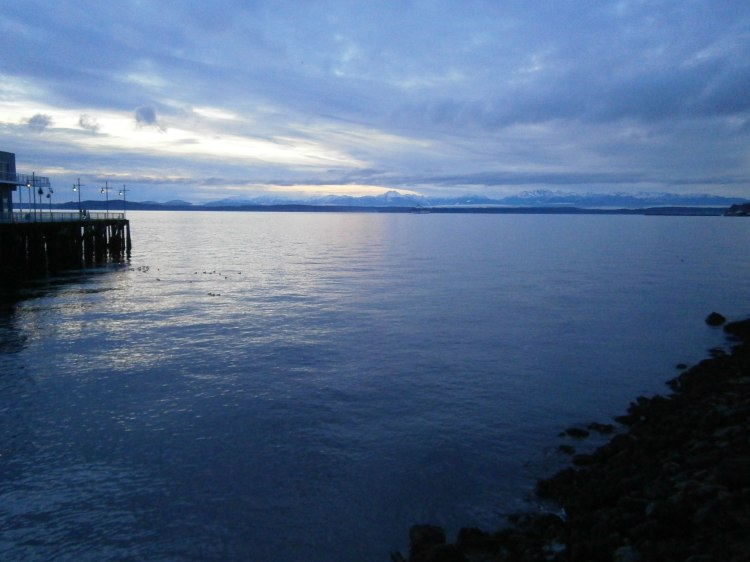View from Olympic Sculpture Park